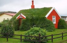 Green roof of a private house
